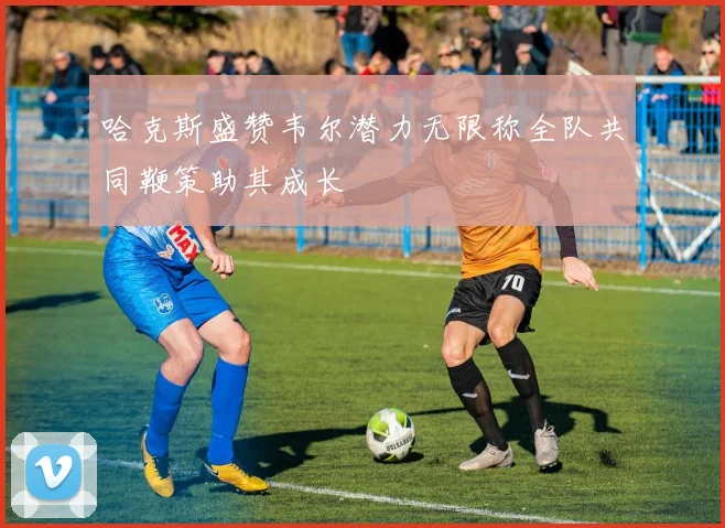 哈克斯盛赞韦尔潜力无限称全队共同鞭策助其成长