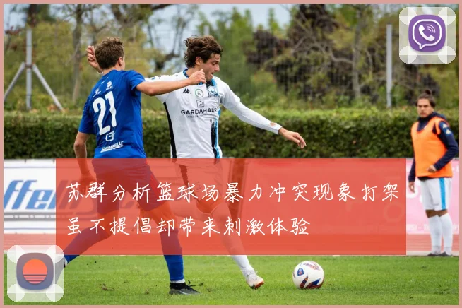 苏群分析篮球场暴力冲突现象打架虽不提倡却带来刺激体验