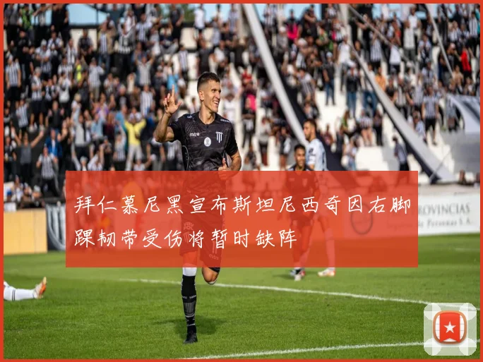 拜仁慕尼黑宣布斯坦尼西奇因右脚踝韧带受伤将暂时缺阵