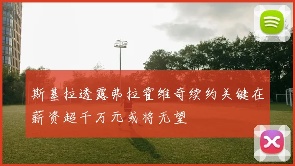 斯基拉透露弗拉霍维奇续约关键在薪资超千万元或将无望