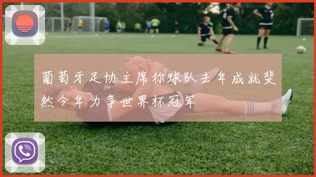 葡萄牙足协主席称球队去年成就斐然今年力争世界杯冠军